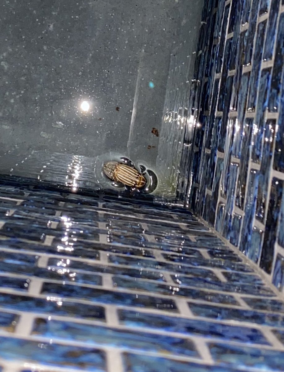 Marcellus Wiley tweet media