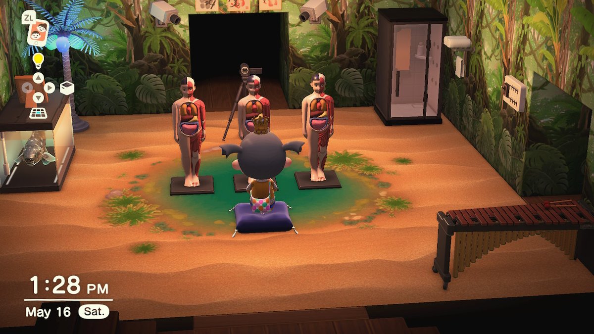 nothing to see here #AnimalCrossing #ACNH #NintendoSwitch