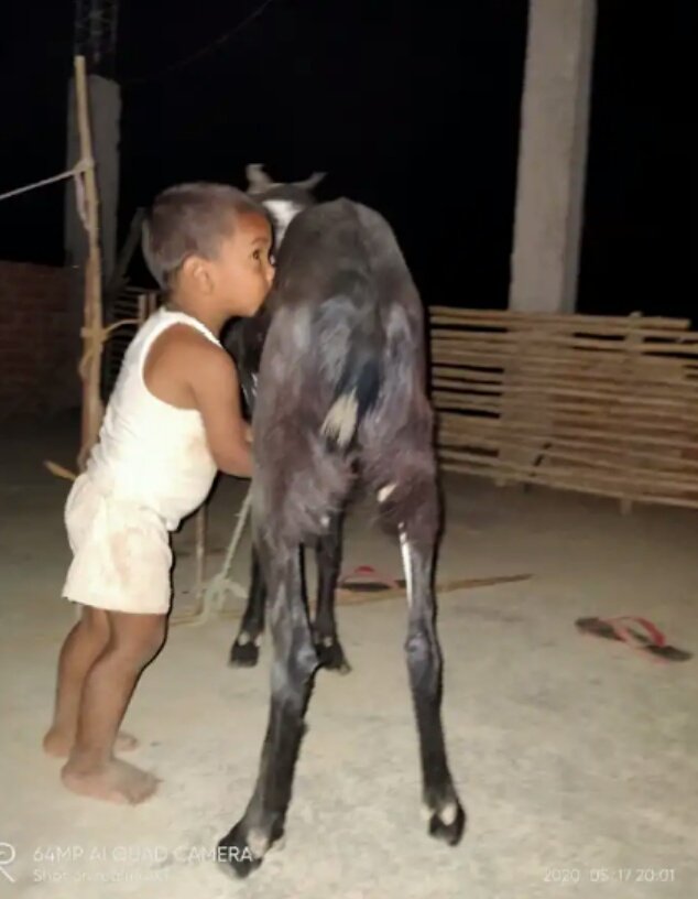 bacche bhi kitne Pyare Hote Hain