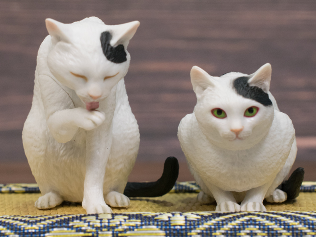 オイルペイント 森口修の猫 絶版 激レア 希少 - 通販 - www.icetran.com.br