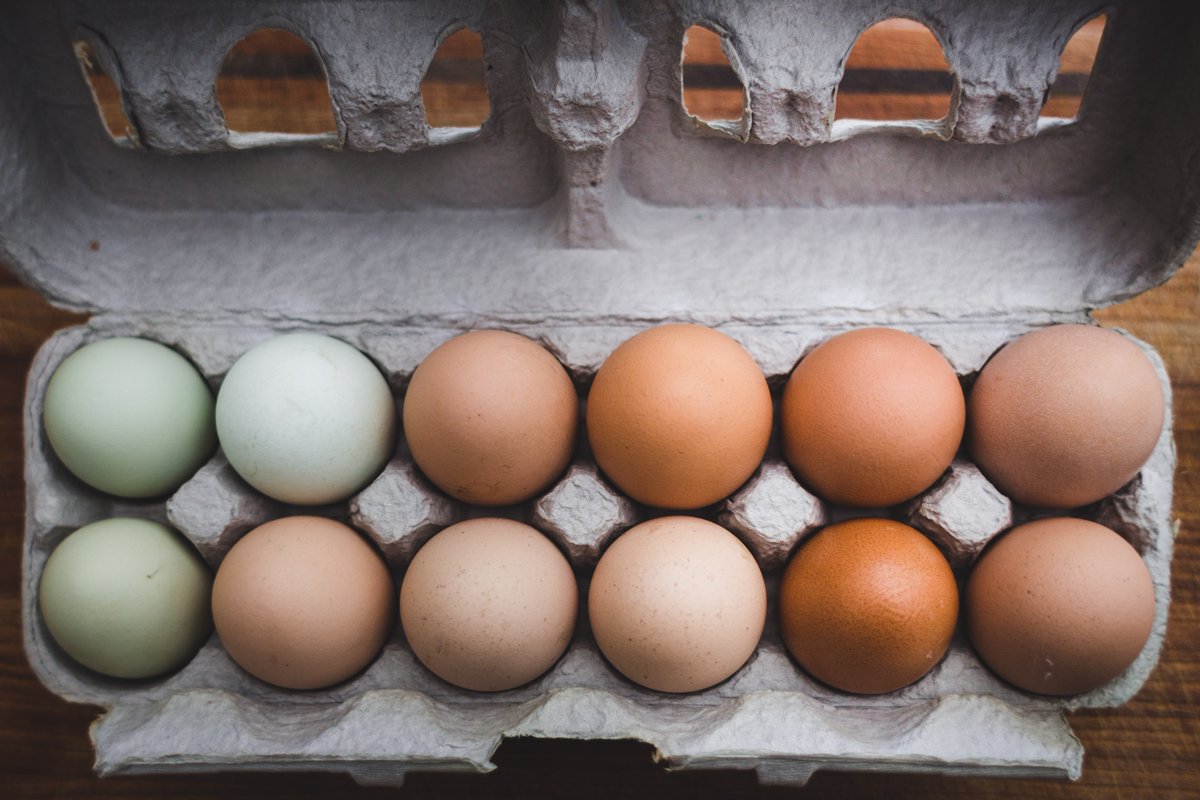 HopeHouseGuelph's tweet photo. Hey folks! We're looking for clean, empty dozen-egg cartons for repackaging flats of eggs for our Food Market. If you got'em, please consider donating them. We are open 8:30am - 4pm Monday thru Wednesday and 8:30am-6pm Thursdays. 

Thanks in advance! https://t.co/oxMnLM0MPD