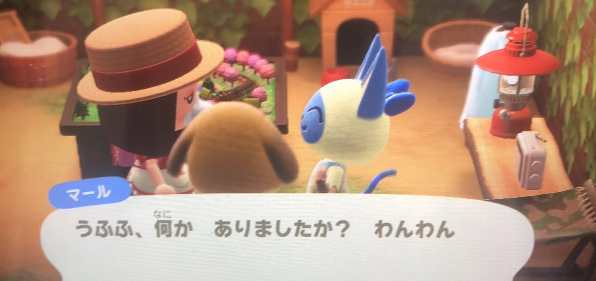 おくやまえり En Twitter マールちゃんに良かれと思って大きいリボンをあげたら思っていたところとつけるところが違って大笑い 猫 住民に大きいリボンあげると頭の後ろからリボンが生えます 可愛いけど面白い 耳が4個あるみたいだ あつ森 あつまれどうぶつの森