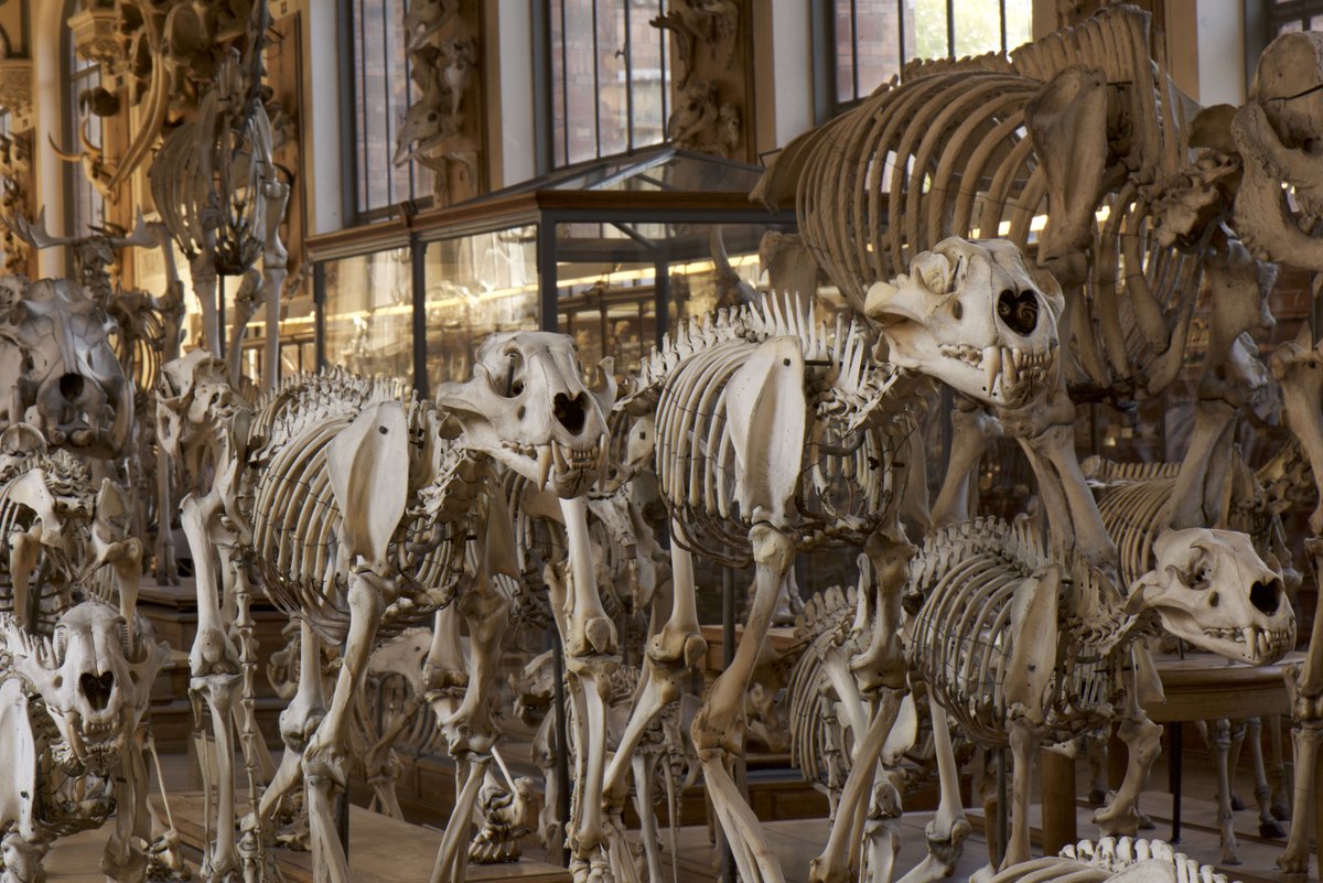Le_Museum's tweet photo. #DreamsMW | « Émerveiller pour instruire. »
Quoi de mieux que la devise de notre Président @BrunoDavidMNHN, pour clôturer cette #MuseumWeek ?
Cette semaine n'a permis qu'effleurer la richesse du Muséum. Bien plus est à découvrir sur https://t.co/8njqdl7BU0 Merci de votre suivi ! https://t.co/UFyfQP7DBr