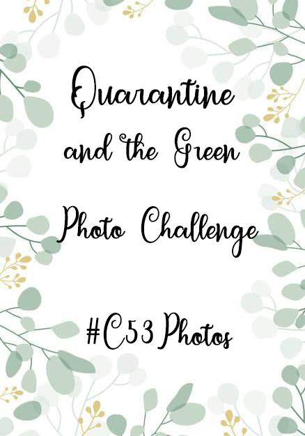ANNOUNCMENT!

Starting tomorrow we are creating a photo challenge for you to get involved with. The theme is Quarantine and the Green. Everyday a new photo prompt will be posted.

Follow the prompt, take a photo &amp; post it with #C53Photo

Look forward to seeing your snaps!