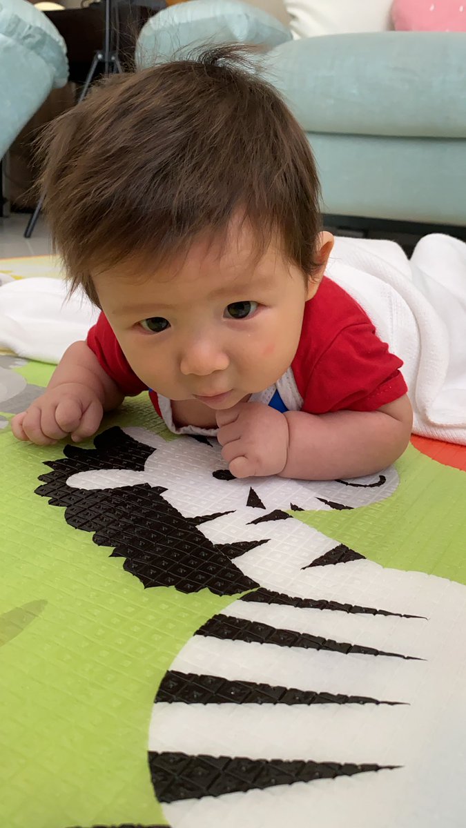 PyongLeeTV's tweet photo. Olha como eu estou fortinho já pessoal. Beijos do Jake. Bom domingo! Meu papai tá sumido pq ele fica muito tempo comigo! Paciência tá hehe https://t.co/Rspv91OxxU