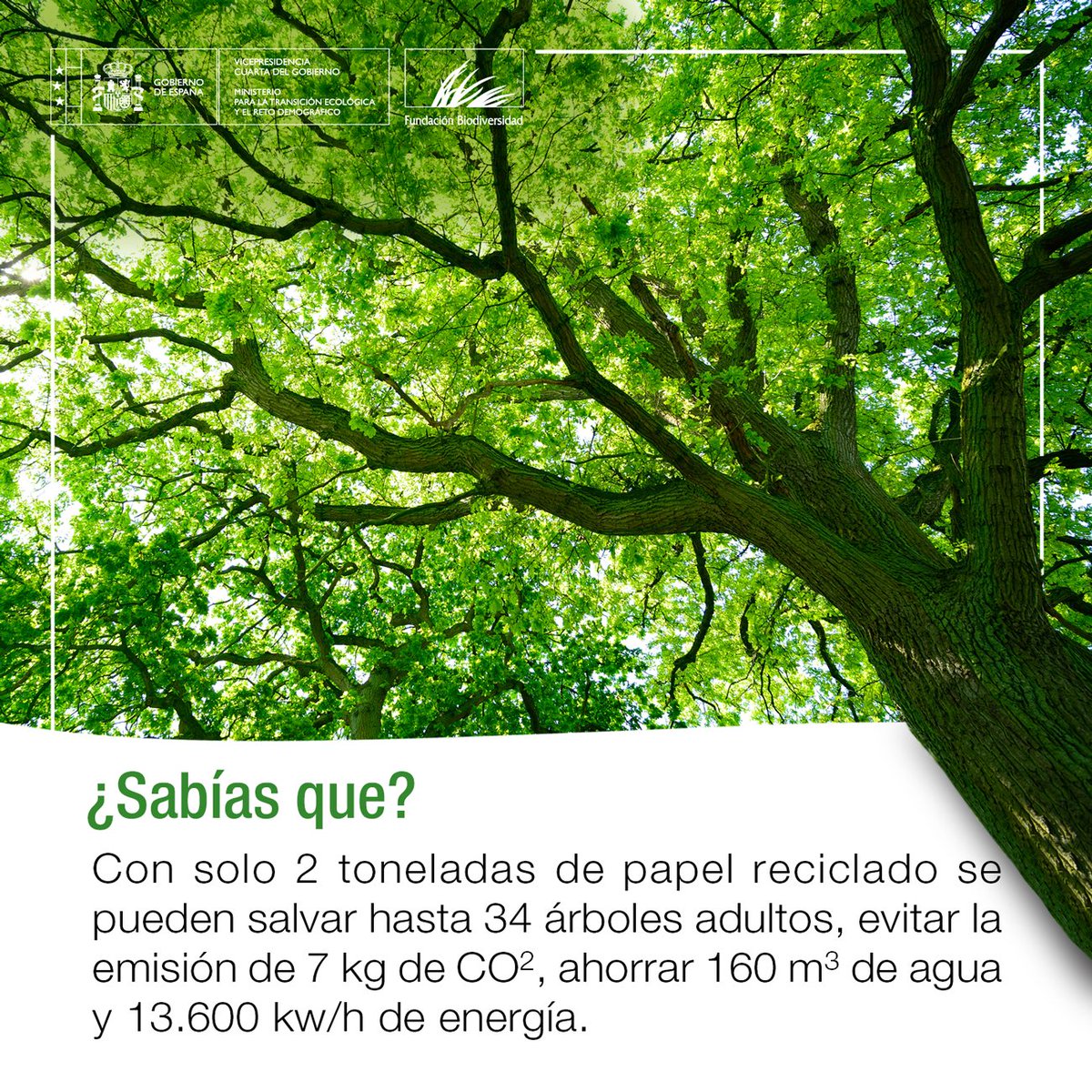 El #reciclaje ♻️ es cosa de todos y conlleva grandes beneficios.

Reciclando mejoramos la salud de nuestro planeta y un 🌍💚=👨‍👩‍👦‍👦❤️ 

#DíaMundialDelReciclaje