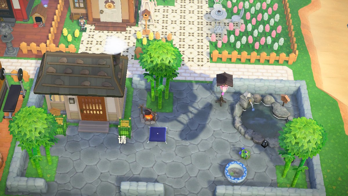 ColinHan1995's tweet photo. #动物森友会 #AnimalCrossing #ACNH #NintendoSwitch https://t.co/vAyWsyWo6I
