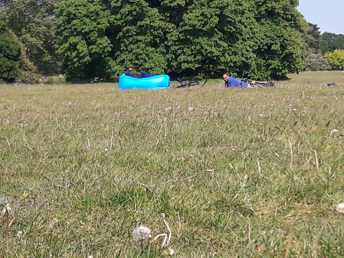 LeBeauVelo's tweet photo. Jeez, this dude even brought his settee down to the park...

#lockdown https://t.co/s9VaiQXosU