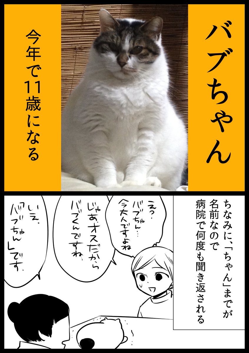 【#食い意地のはった猫 14】
すっかり時間が経って、過ぎましたが
5/17は猫の誕生日です。
しかし、生まれた日、
食い意地のはった猫によって被害を受けたものもいた。

これが、餌やり器以外に壊されたものである。
でも、被害を受けたのはまだ他にある・・・。

#猫漫画 #猫のいる生活 #JR漫画 