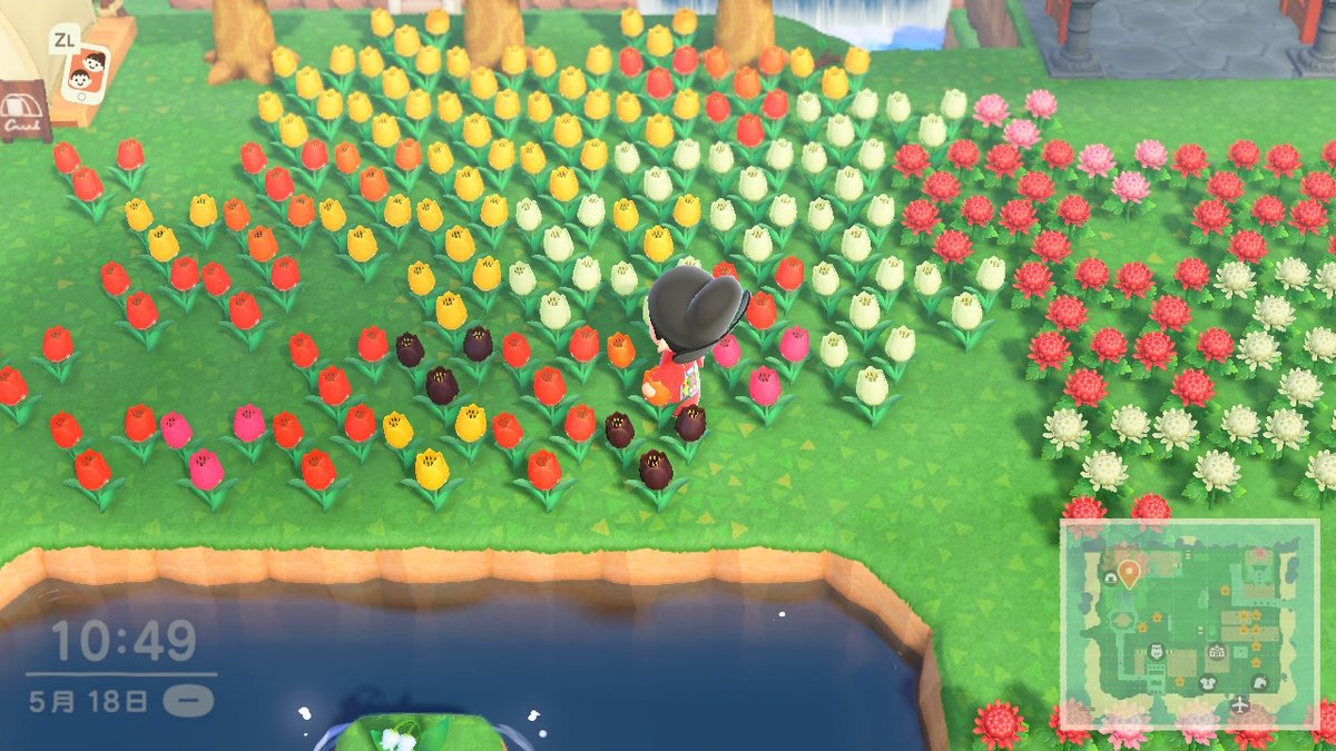 ColinHan1995's tweet photo. #动物森友会 #AnimalCrossing #ACNH #NintendoSwitch https://t.co/wsU5wpV05J