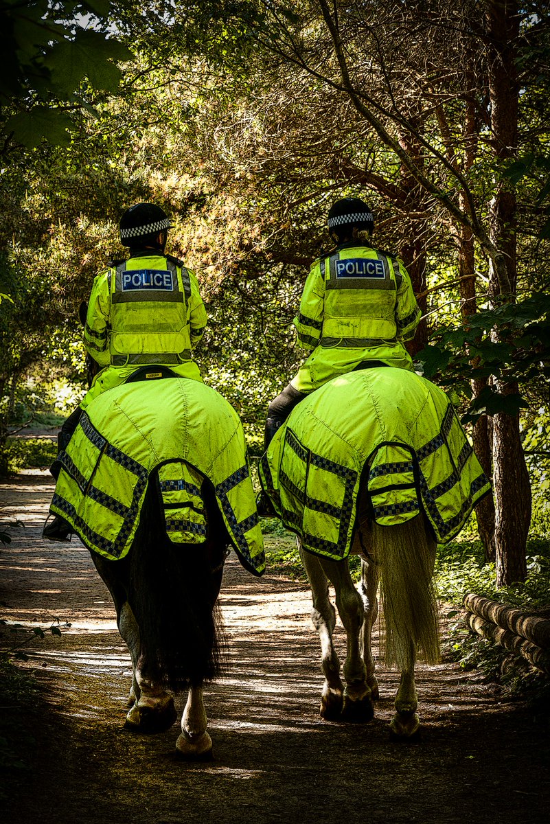 Thanks to @gemma_claire1 for sending us this photograph of Oxberry and Silver on patrol during the week. #StandTall #PHOxberry #PHSilver #MountedPatrols #LocalPhotographer