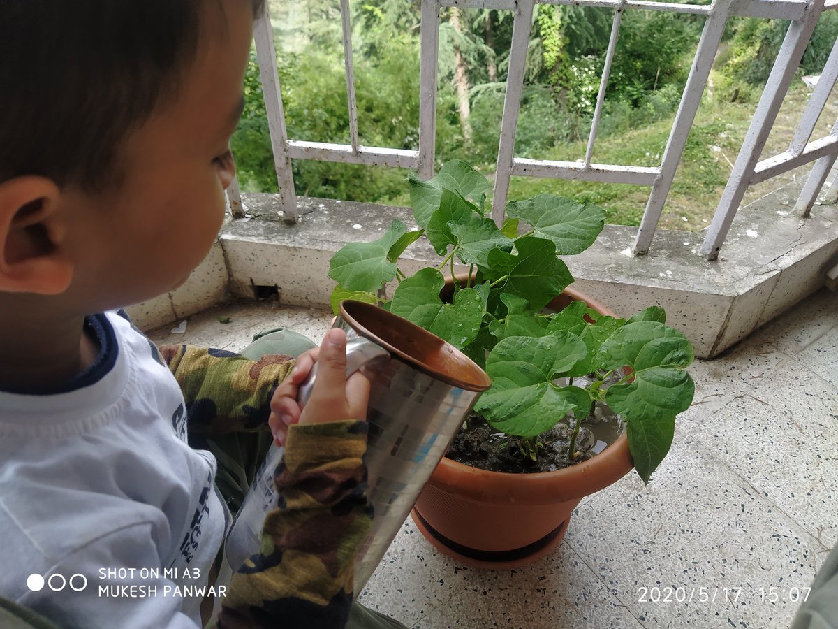 MukeshPanwar23's tweet photo. #IndoorIcon #icicibank @ICICIBank 

#Plantation with Kidz. https://t.co/8wb1aLWGsj