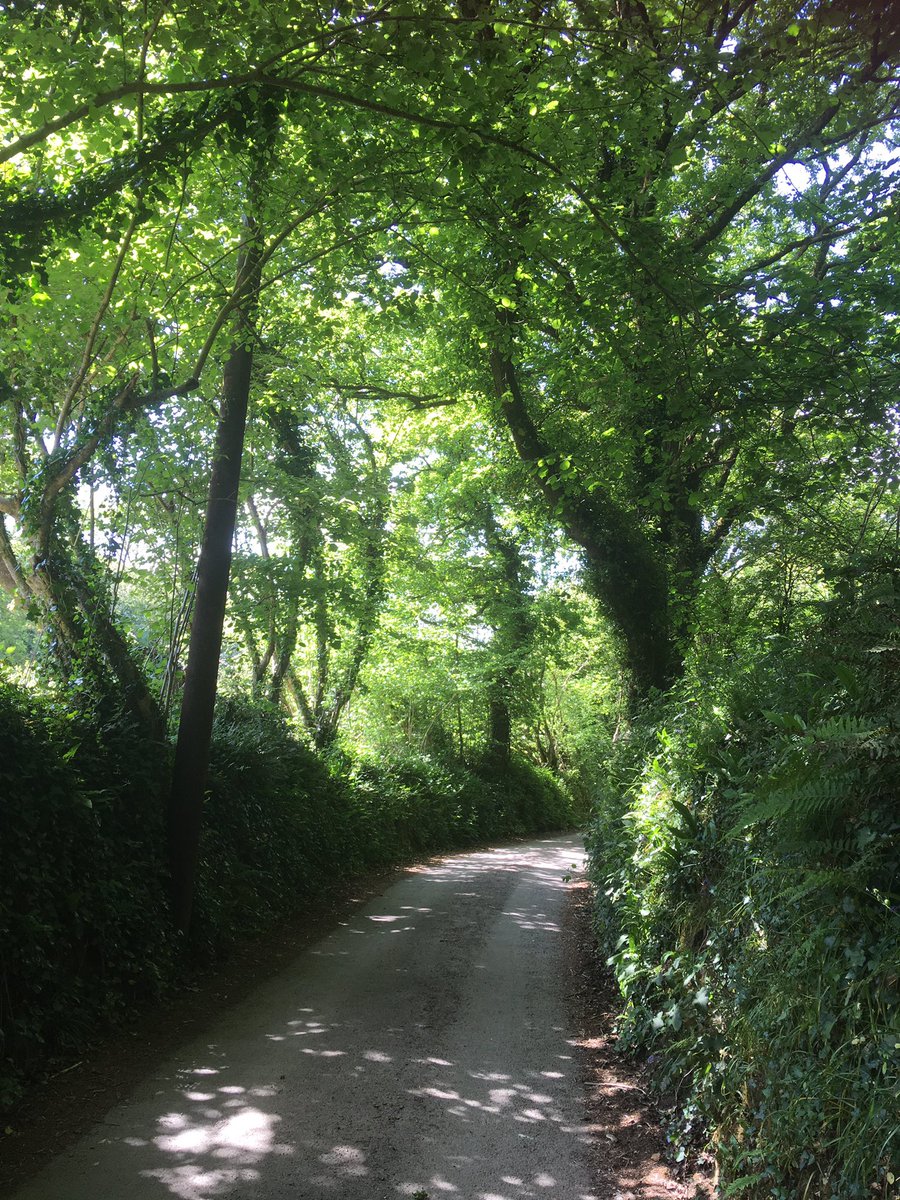 RebeccaEvans5's tweet photo. #Beautiful walk today #lockdownwalk #LoveWhereYouLive #lovecornwall #cornishcountryside https://t.co/WxYQdl8W5d