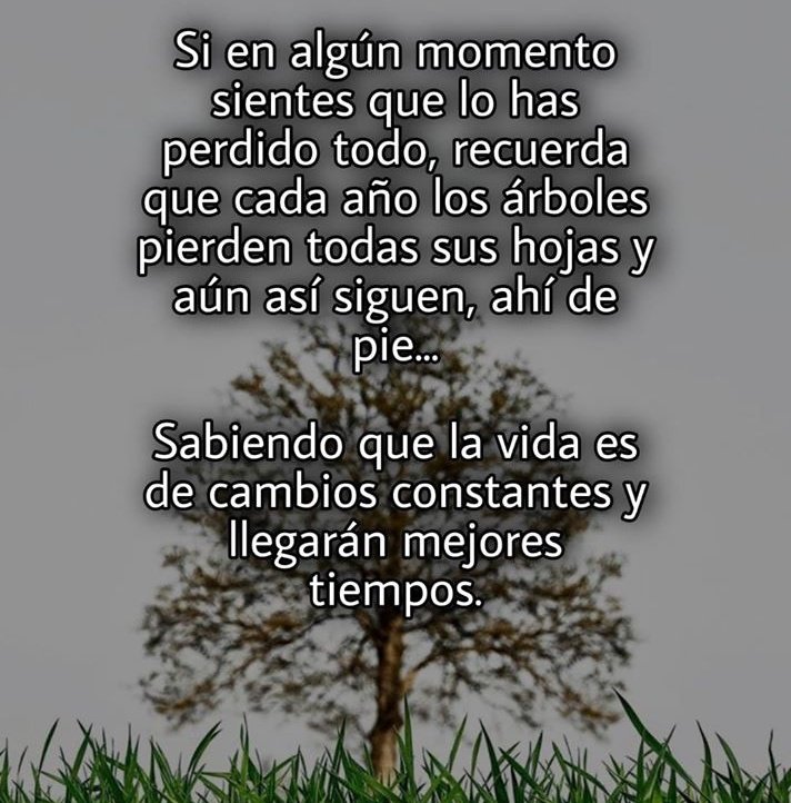 animalitooax's tweet photo. Buen domingo familiar amigos @caballerovqz @JuanCarlosAteks @CarlosAudelo_ @JesusGHerreraP @Fivonneguzman @facesama @sary770321 @Rafael_LeonS @betowahaka @paco_tule @Tachidito10 @josemcalderonc @LauraVignonC @MoisesMolina @LALO_BARRON @andresgarciacru @Titotepec #SVPPB https://t.co/yLc3VGKjKI