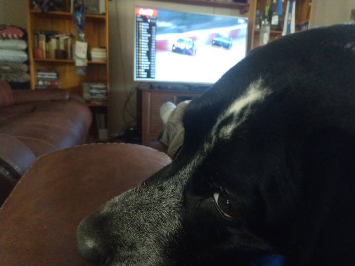 Quailhuntmaster's tweet photo. #NASCARSBACK chilling back watching https://t.co/hlJAbsxhfK
