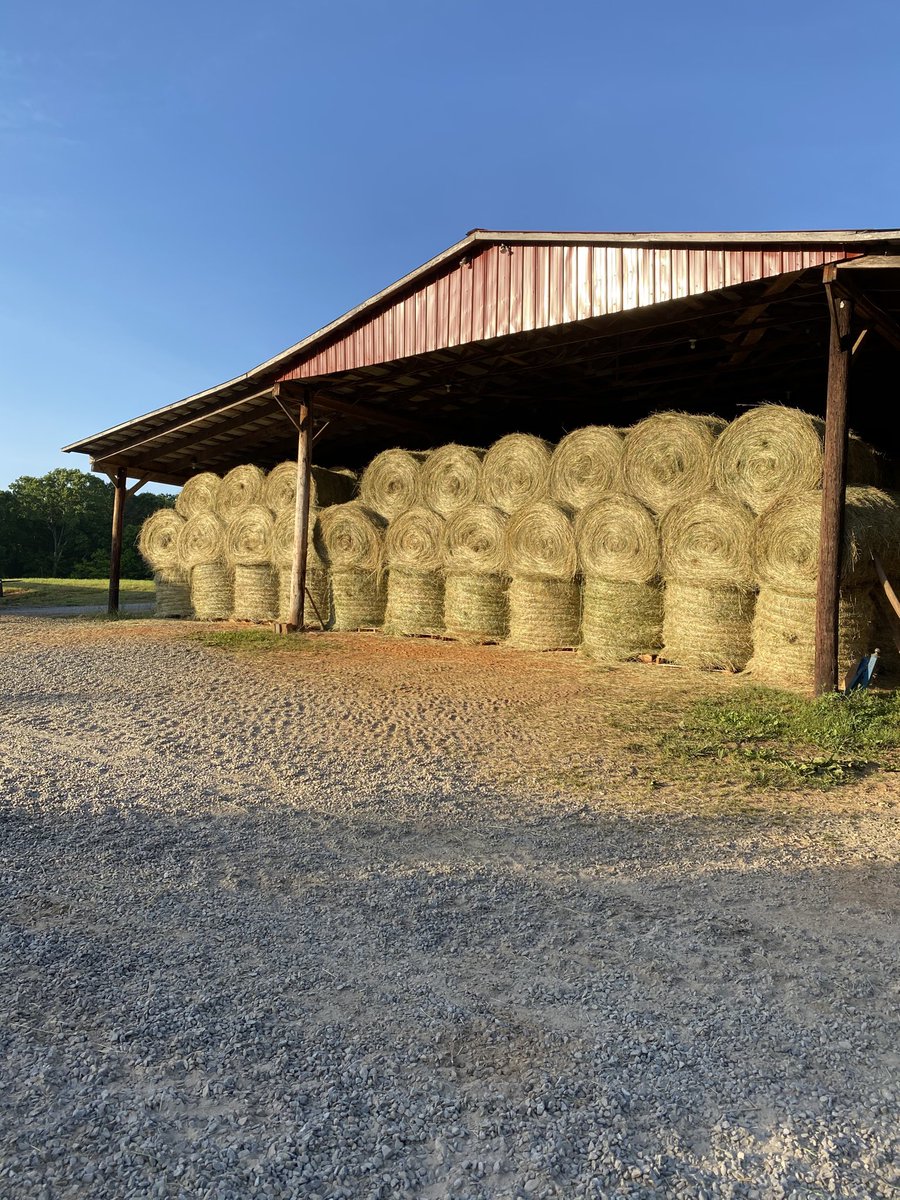 KnightFarmer111's tweet photo. Hey ⁦@ClintBowyer⁩ how much hay you get rolled during quarantine? https://t.co/o4opbNhz9j