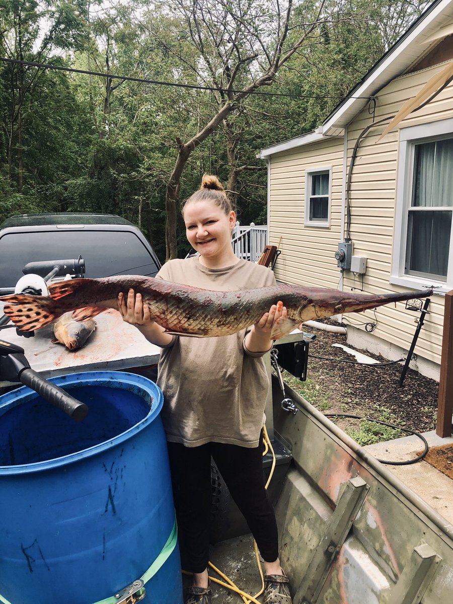 ReapersOutdrAdv's tweet photo. Second night this weekend taking two boats out and putting the smack down on some fish! #bowfishing #amsbowfishing #powermaxxconverters #reapersoutdooradventures #getreaped https://t.co/74YHPObWGp