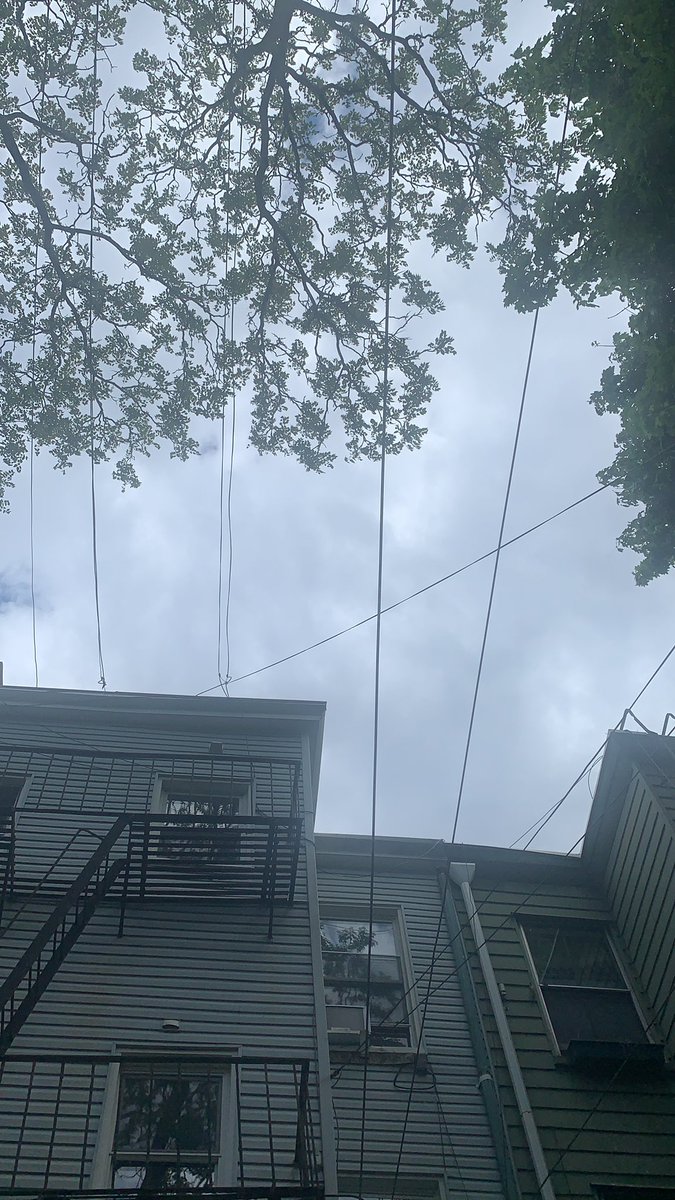 MeanOldTom's tweet photo. The neighbor is going hard with a 90s alterna-rock kick. Just heard a heartfelt rendition of “Wonderwall. “ https://t.co/aeUuQUR0UJ