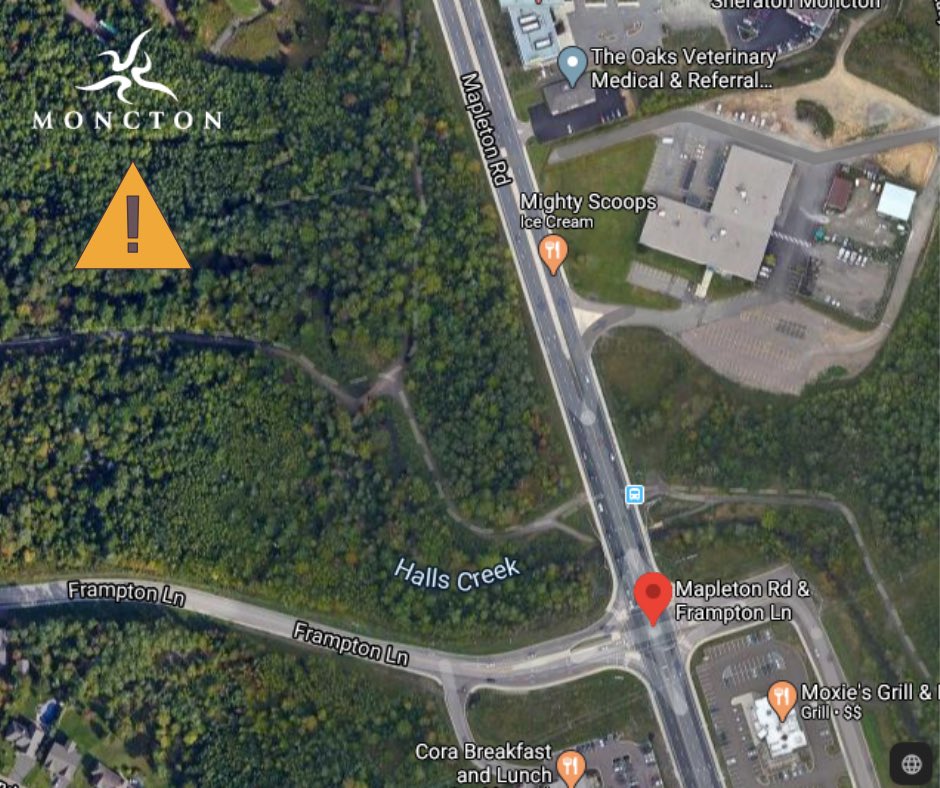 CityofMoncton's tweet photo. Notice : The City has been advised of a bear sighting in Mapleton Park (near the intersection of Mapleton and Frampton). City staff are installing signs at the entrances of the trails. Should you be going to Mapleton Park, please take extra caution and avoid approaching the bear. https://t.co/G8MlnouLus