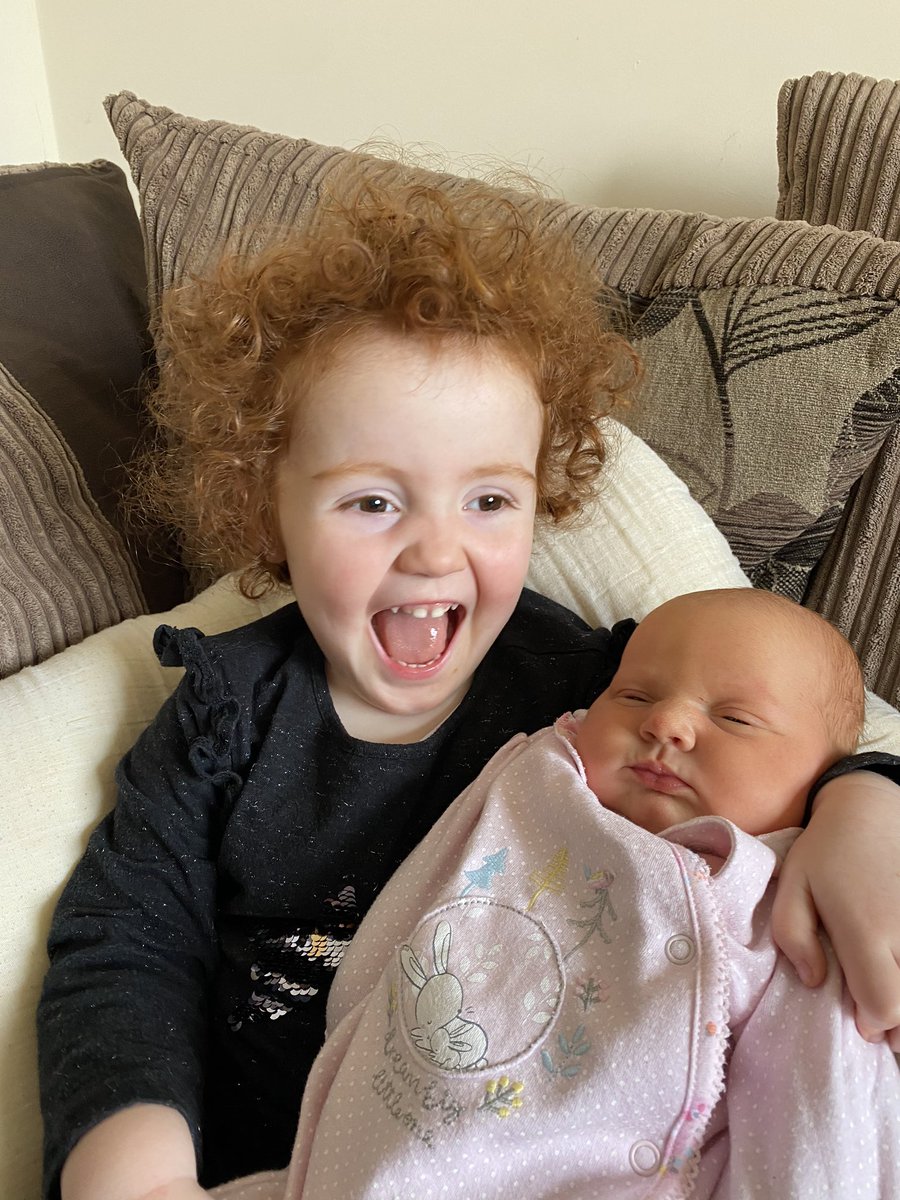 WaddingtonPhil's tweet photo. She seems pleased with her new sister https://t.co/Bvj1FOBiQB