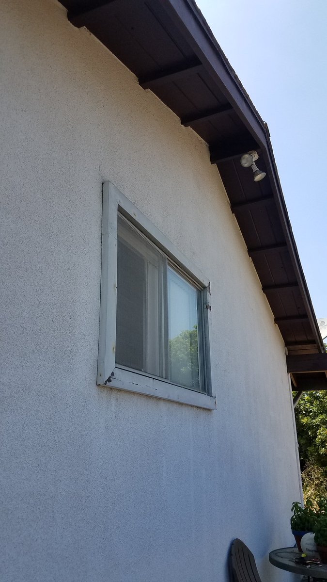 CatholicForLife's tweet photo. Next project. Paint the window frame to match the rest of the house. #BuggingMe https://t.co/BNHDTQczXV