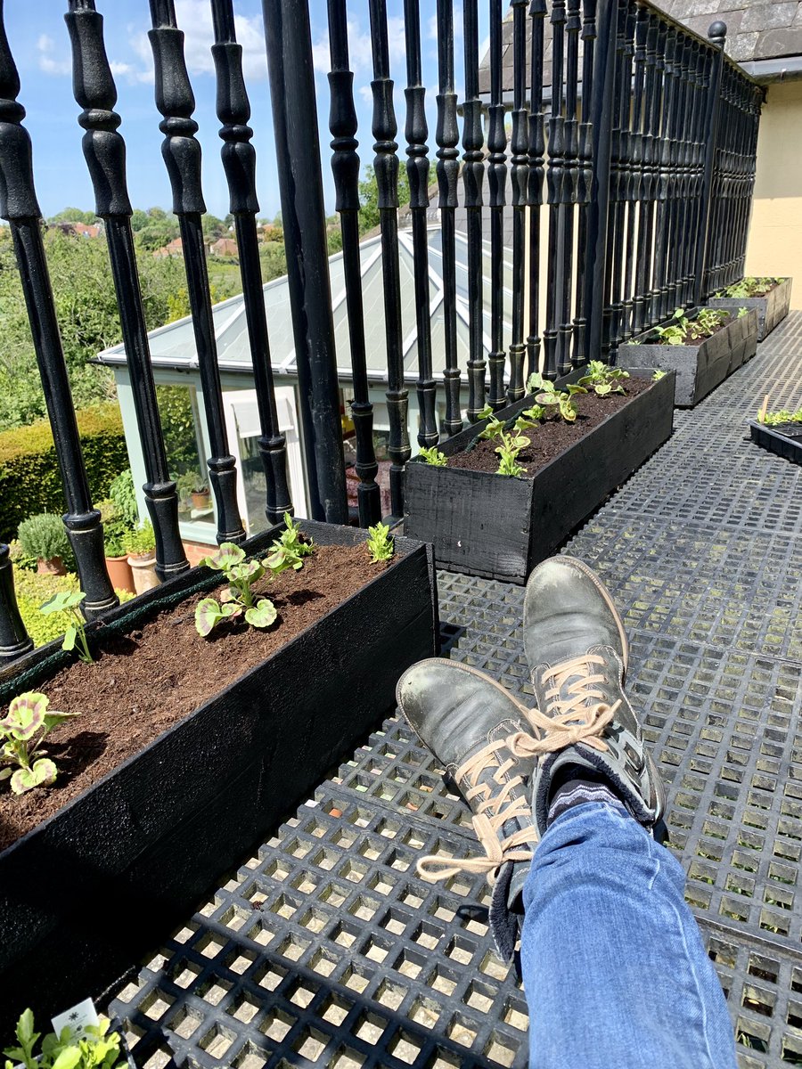lapetitedeal's tweet photo. Planters made from left over wood from the shed that Dan built. Plants grown from free seeds in magazines. #reuse #recycle #growyourown https://t.co/CaSow1X3nD