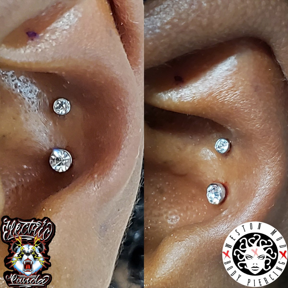 WestonMod's tweet image. Double conch done with threadless titanium 
#westonmod