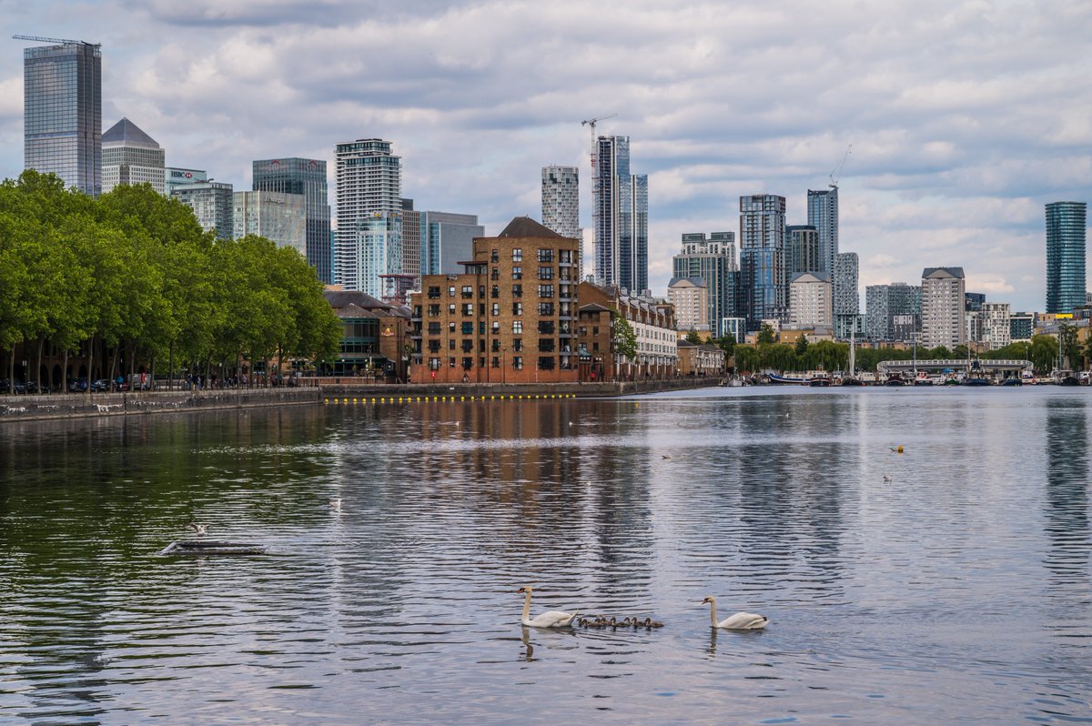 [THREAD]  #PictureOfTheDay 17th May 2020: Swan Lake https://sw1a0aa.pics/2020/05/17/swan-lake/