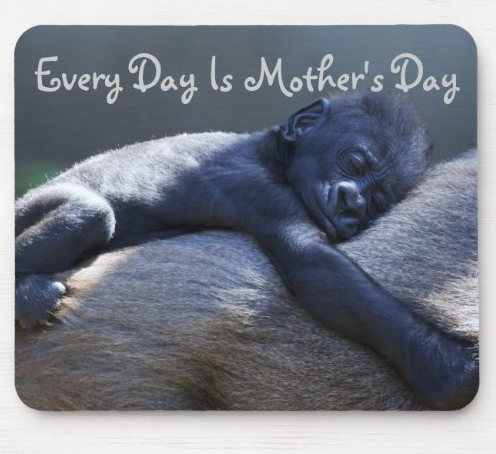 We believe everyday should be Mothers Day ... so to continue celebrating mom - we are giving away another Immunity Kit from Vedic Teas! 🌷☕

To enter, like this post and tag a friend in the comments 😁 Winner will be announced later this week, good luck! #MothersDayEveryDay