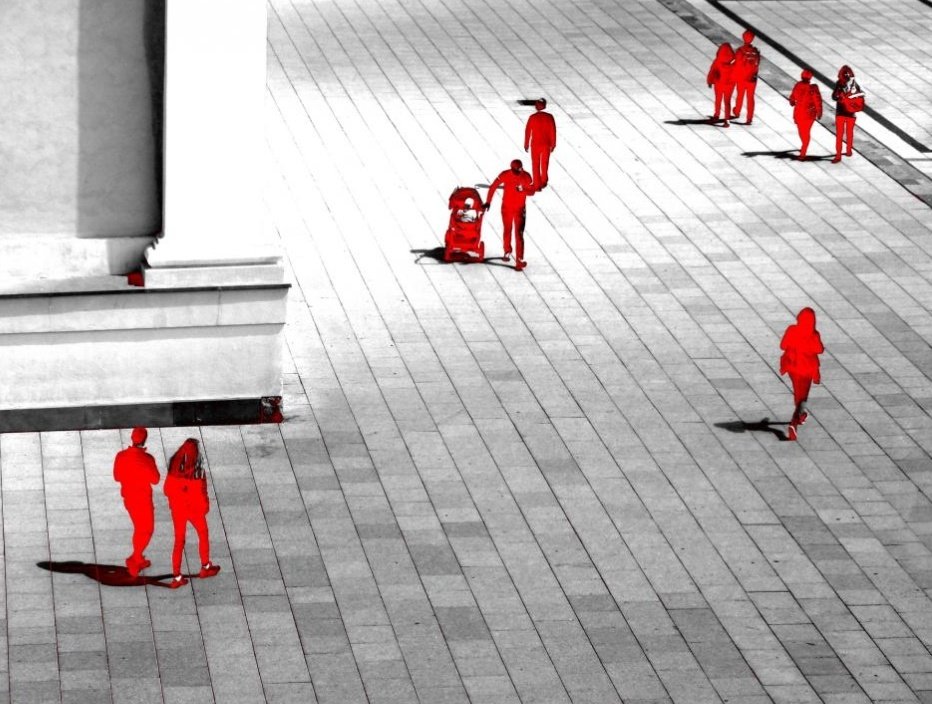 SécuritéEÉLV🛡️ tweet media