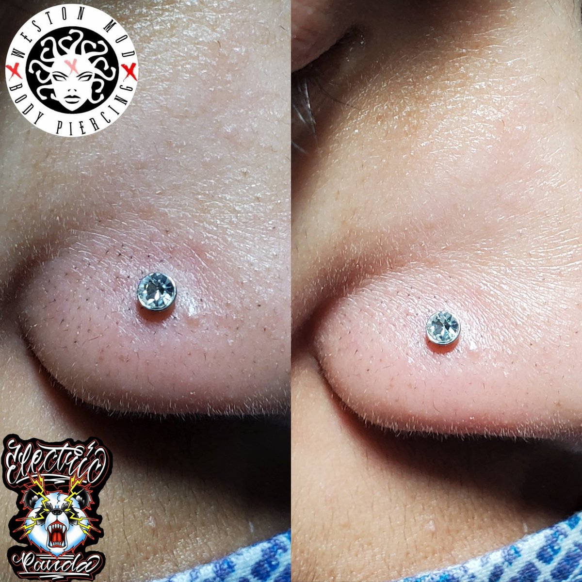 WestonMod's tweet image. Nose piercing done with threadless titanium 
#westonmod