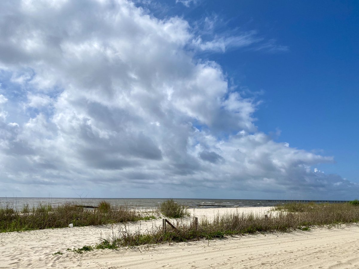 ChefKevinBelton's tweet photo. Rains coming. #rain #adventuresinexercise #morningworkout #gottagetitin #tryintoliveahealthierlife https://t.co/xrgY2APhTh