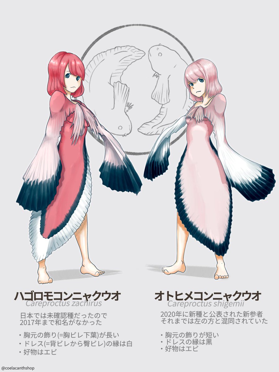 擬人化に挑戦してみたけど、擬人化ムズイ