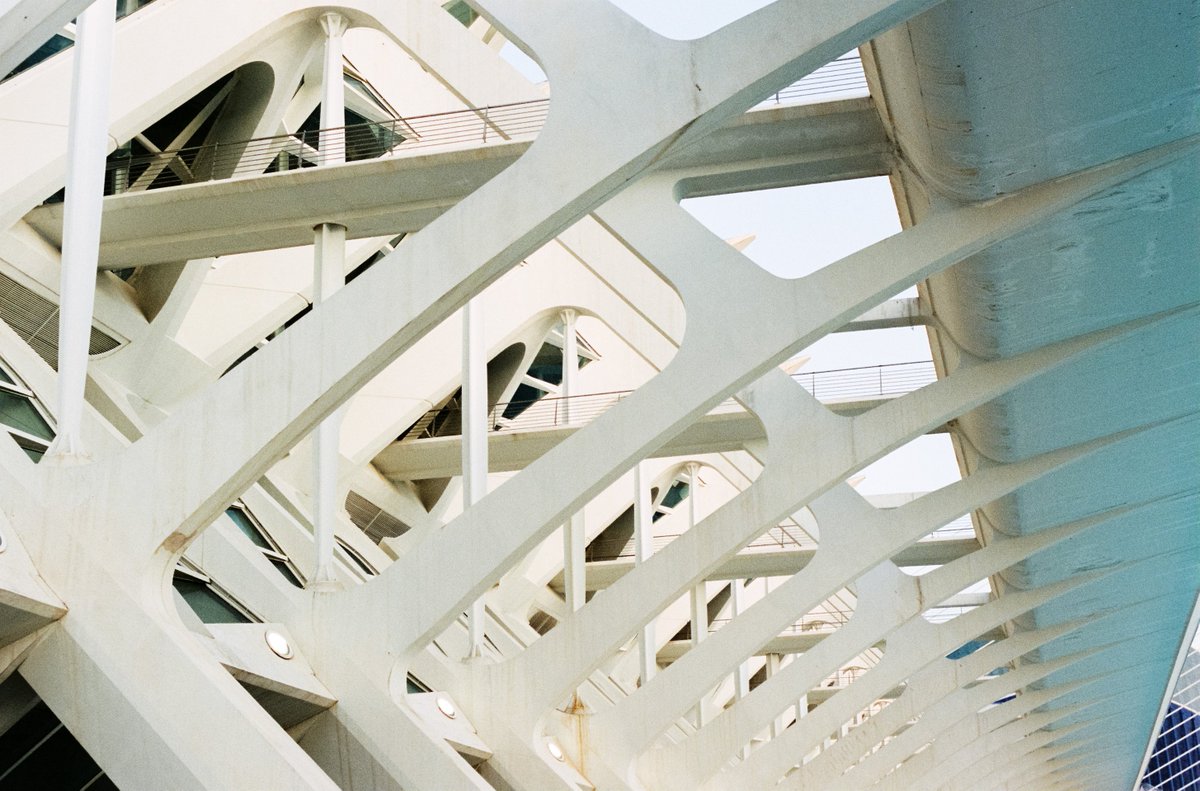 Billy2523's tweet photo. Geometría.
Febrero 2020

📷Kodak Portra 400 https://t.co/1Ez3LqtZTF