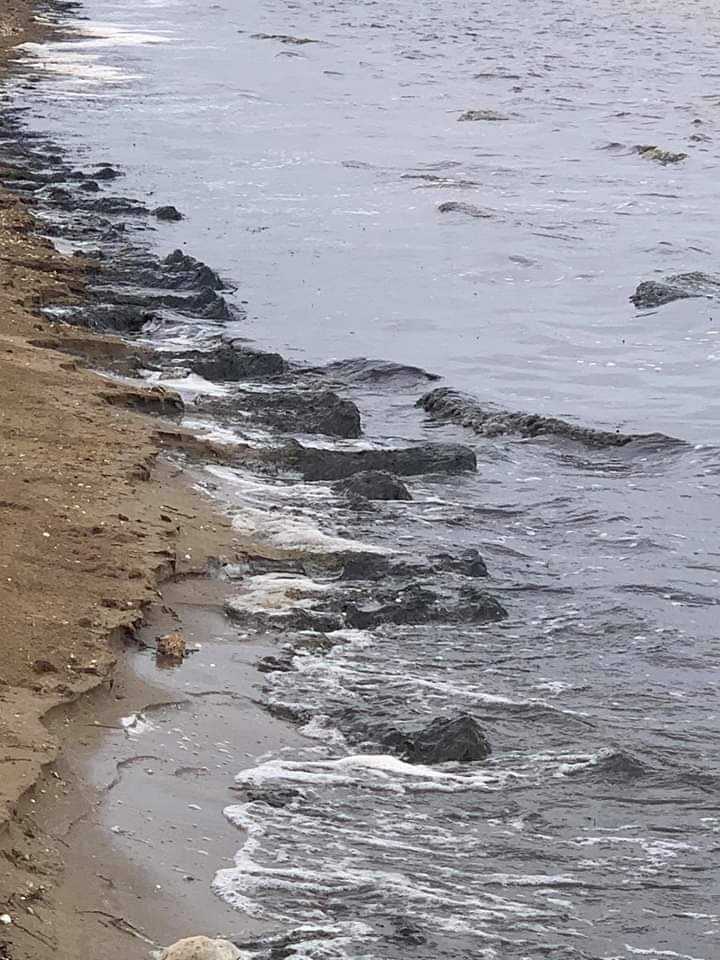 greenpeace_mur's tweet photo. Mientras llenan las playas de arenas de dudosa procedencia, el Mar Menor devuelve aguas negras y espumosas llenas de cieno y lodo en descomposición 😢 @greenpeace_esp
#SOSMarMenor https://t.co/M6V5vhjgc3