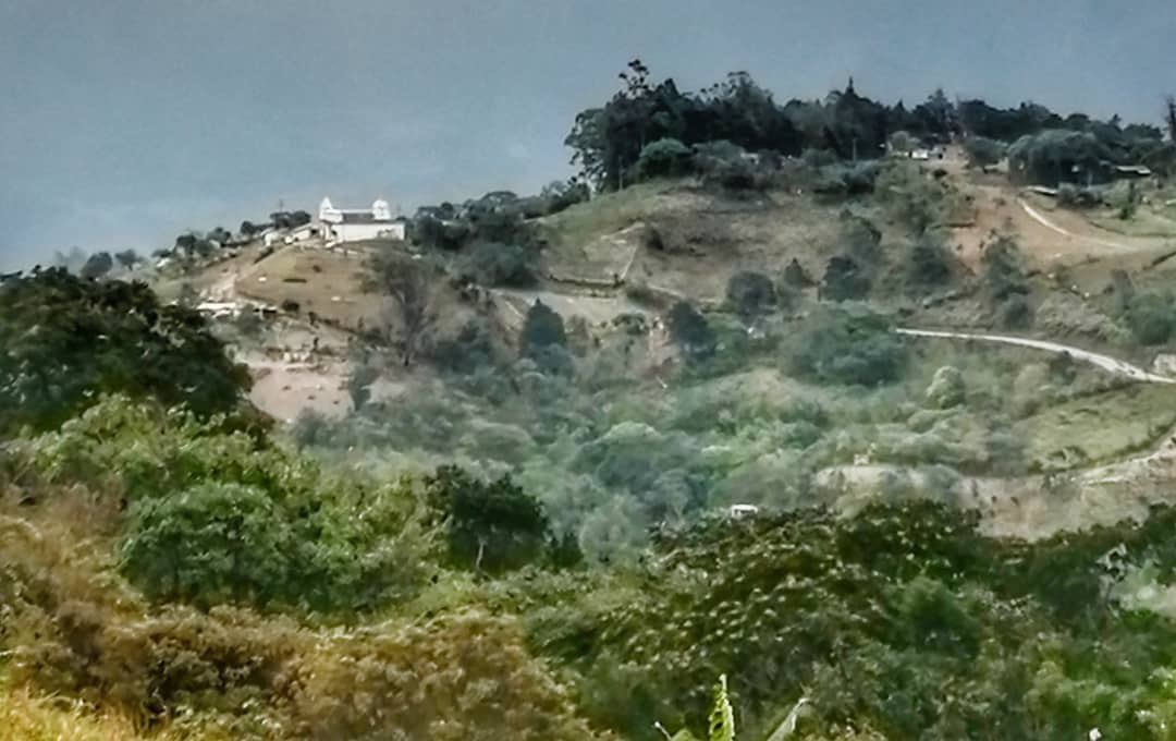 Tachira_Natural tweet picture