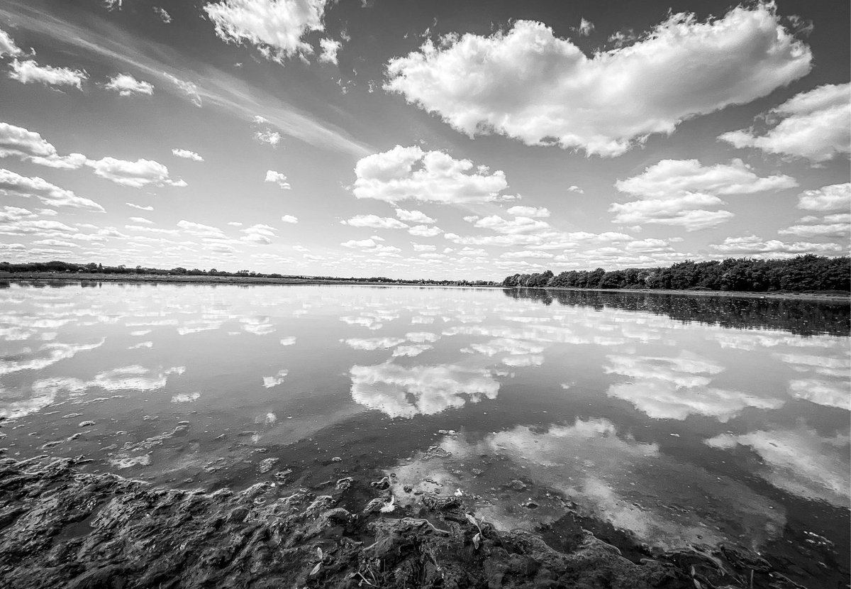 martincabble's tweet photo. 1/2 Pics from this week. I think some of my favourite so far 👍🏻 Had a play with colour and composition. Oh and a field of cows! 🤣 #amateurphotographer #windsor #eton #etonwick #cows #photograghy #amateurphotography #berkshire #blackandwhite #canon #CanonColorChallenge https://t.co/Oi8B7WLhGN