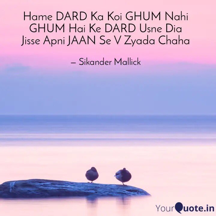 Sikander Mallick tweet media