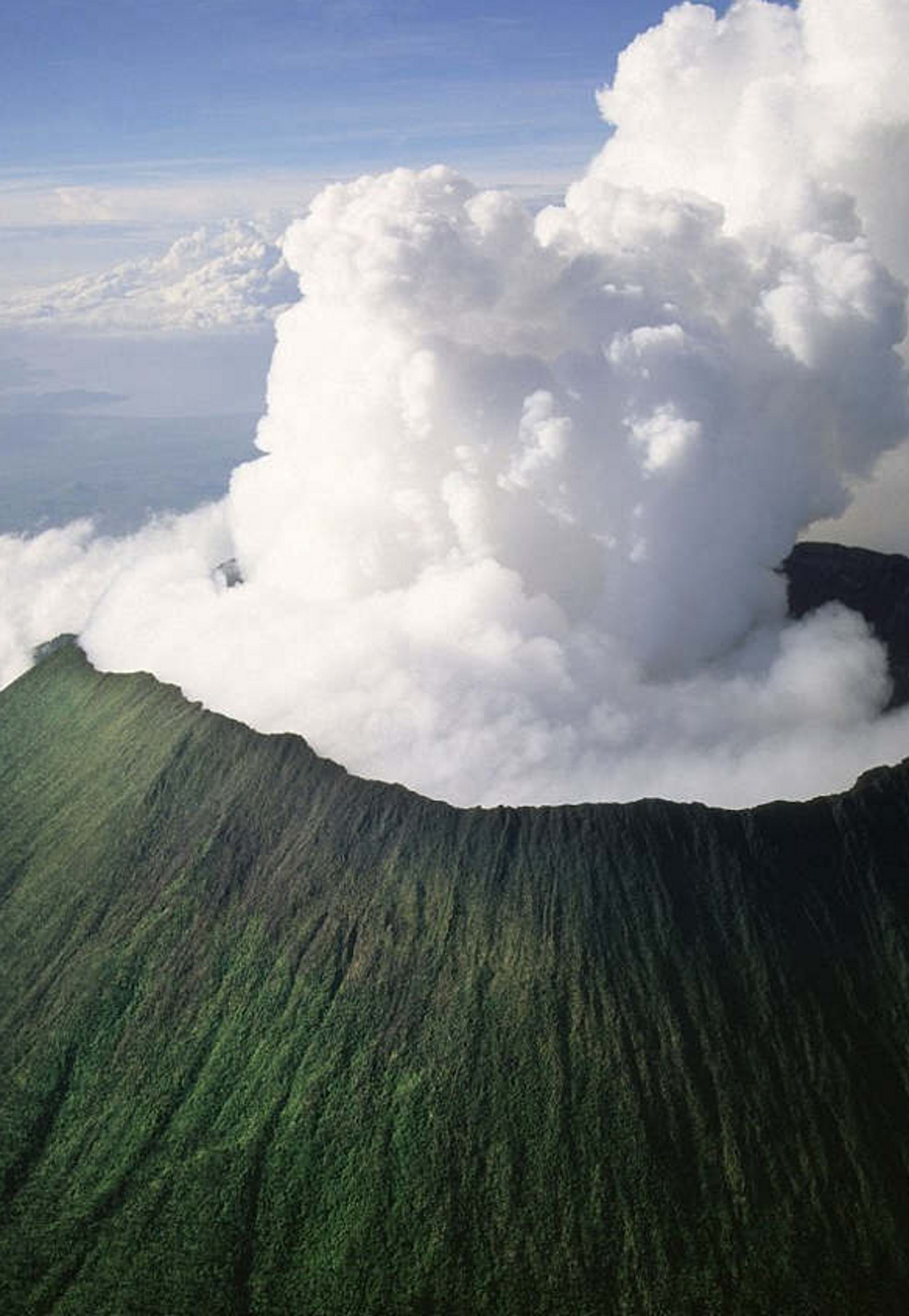 ���� ���� ������ �� ���� ������