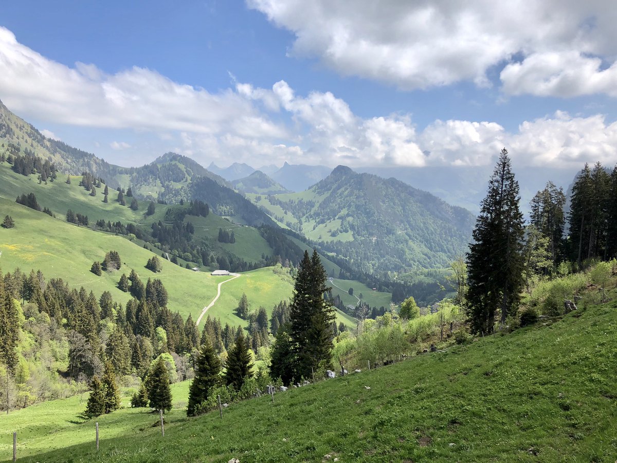 arnoleli's tweet photo. Les #Paccots, mega schön, das wissen aber auch alle andern. #Dichtestress in den #Voralpen 🤯😏🤪 naja, es hat sich trotzdem gelohnt... https://t.co/zKY1sTkYjM