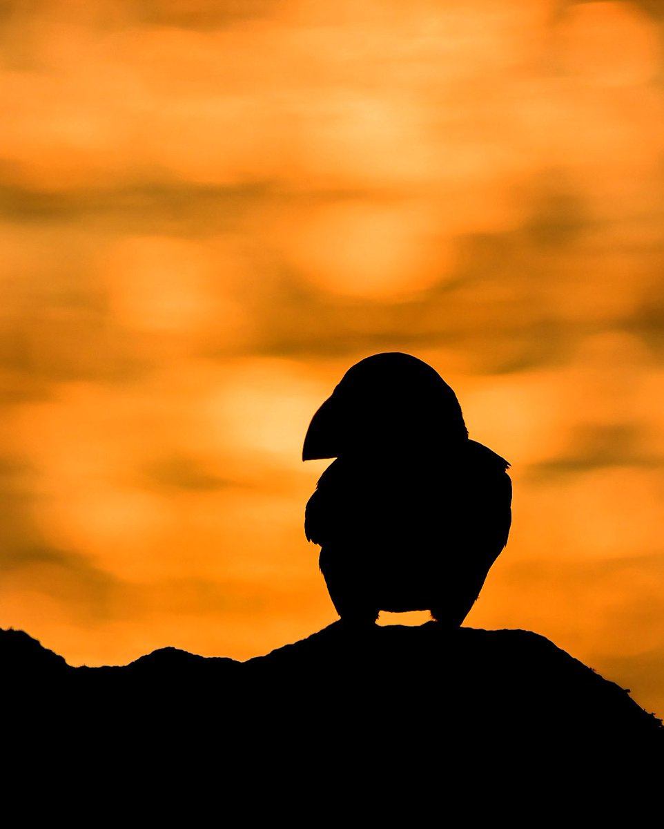 Dan Hauck tweet media