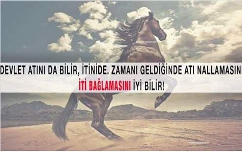 BNAYlLDZ's tweet photo. https://t.co/YUD7xkwX2l