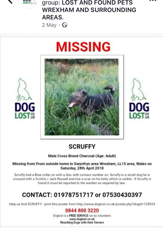 #SCRUFFY  #StillMissing 28/04/2018 outside his home #Gwynfryn  #Wrexham #LL15 area 

#SCRUFFY has a 5' visible scar on belly #IamStillOutThere 
#ForgetMeNot  #PetTheftAwareness