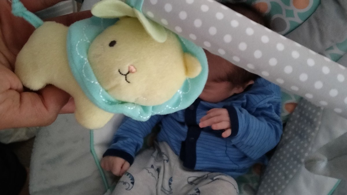 miniteshi's tweet photo. @Ingenuitybaby @Ingenuitybabyuk eye really don't know what to make of this... #YouHadOneJob https://t.co/OhxI7RTsvk