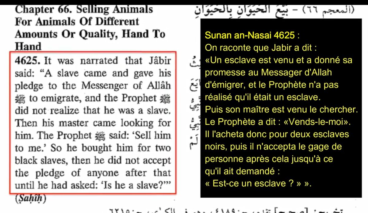 D'ailleurs selon Mohammed le noir avait moins de valeurs que les autres, en témoigne son anecdote où ne sachant pas qu'un homme qu'il recueille comme musulman est un esclave en fuite, il amadoue son propriétaire en l'échangeant contre deux noirs ; Sunan an-Nasai 4625 11/14