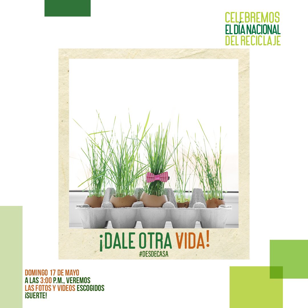 CRPANAMAORG's tweet photo. La campaña ¡DALE OTRA VIDA! que buscaba incentivar y promover la creatividad #DesdeCasa para extender la vida útil de los residuos y fomentar la educación entre los participantes, ha culminado de manera satisfactoria.
GRACIAS POR FORMAR PARTE DE ESTA EXPERIENCIA♻️🇵🇦 https://t.co/3GxuCT0m8X