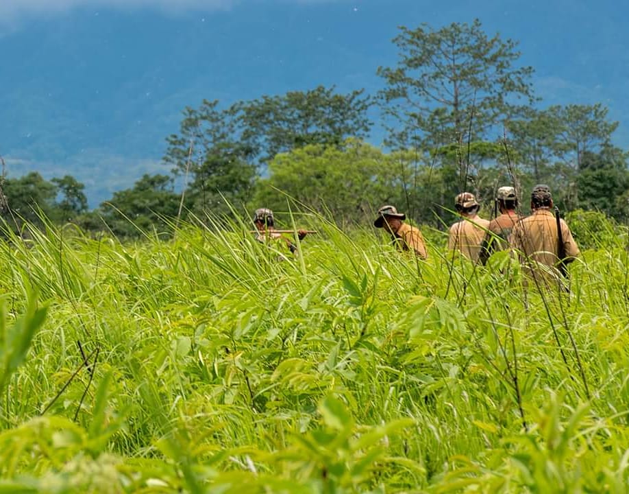 EconeMagazine's tweet photo. #Covid19 &amp; #conservation. Frontline forest staff in #ManasNationalPark on patrolling duty during the pandemic. https://t.co/iFTSbFoBjb