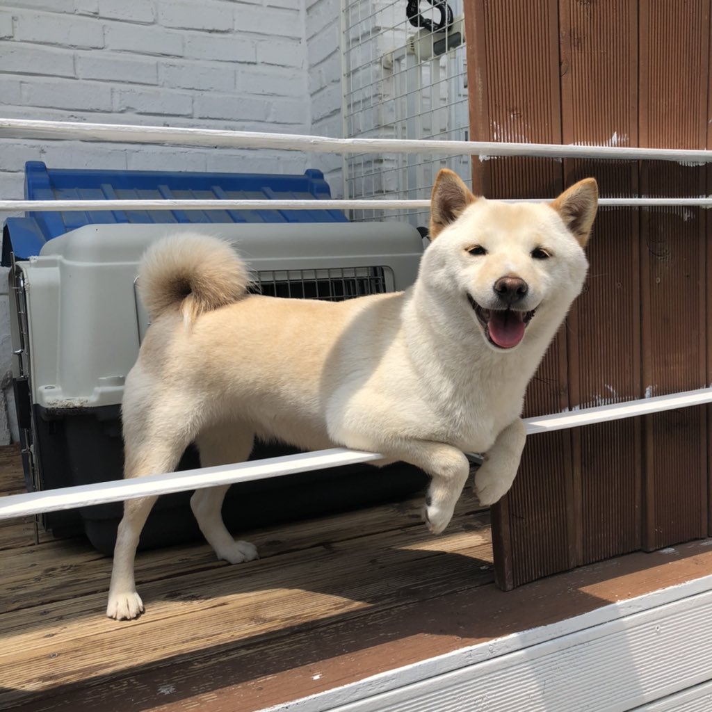 우리 살구..아기 땐 귀여웠는데 크니까 더 귀엽다....