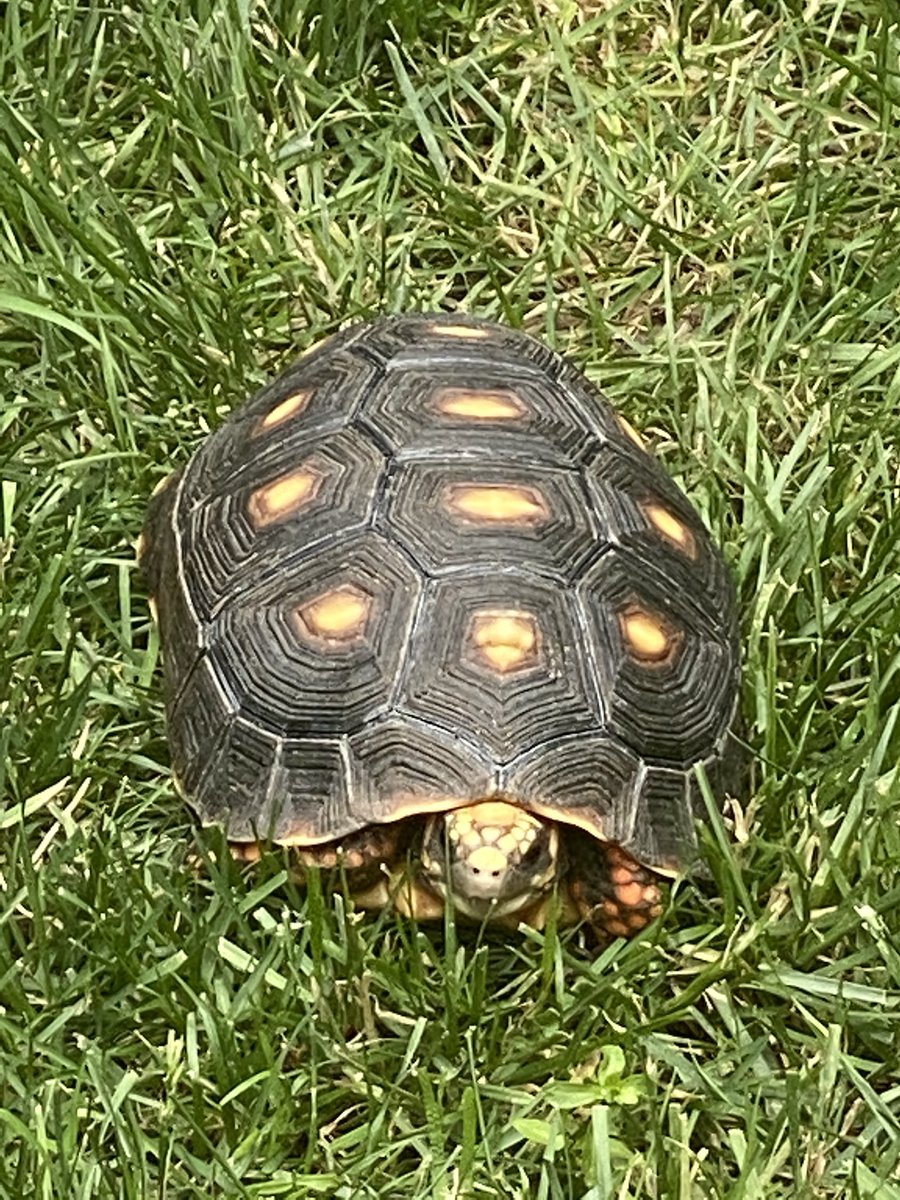 ScooterTapper's tweet photo. You talkin' to me? 
You talkin' to me? 
You talkin' to me? 
Then who the hell else are you talkin' to? 
You talkin' to me? 
Well, I'm the only one here. 
Who do the f*** do you think you're talking to? 
Oh, yeah? 
Ok. https://t.co/EvLLBQgDlW
