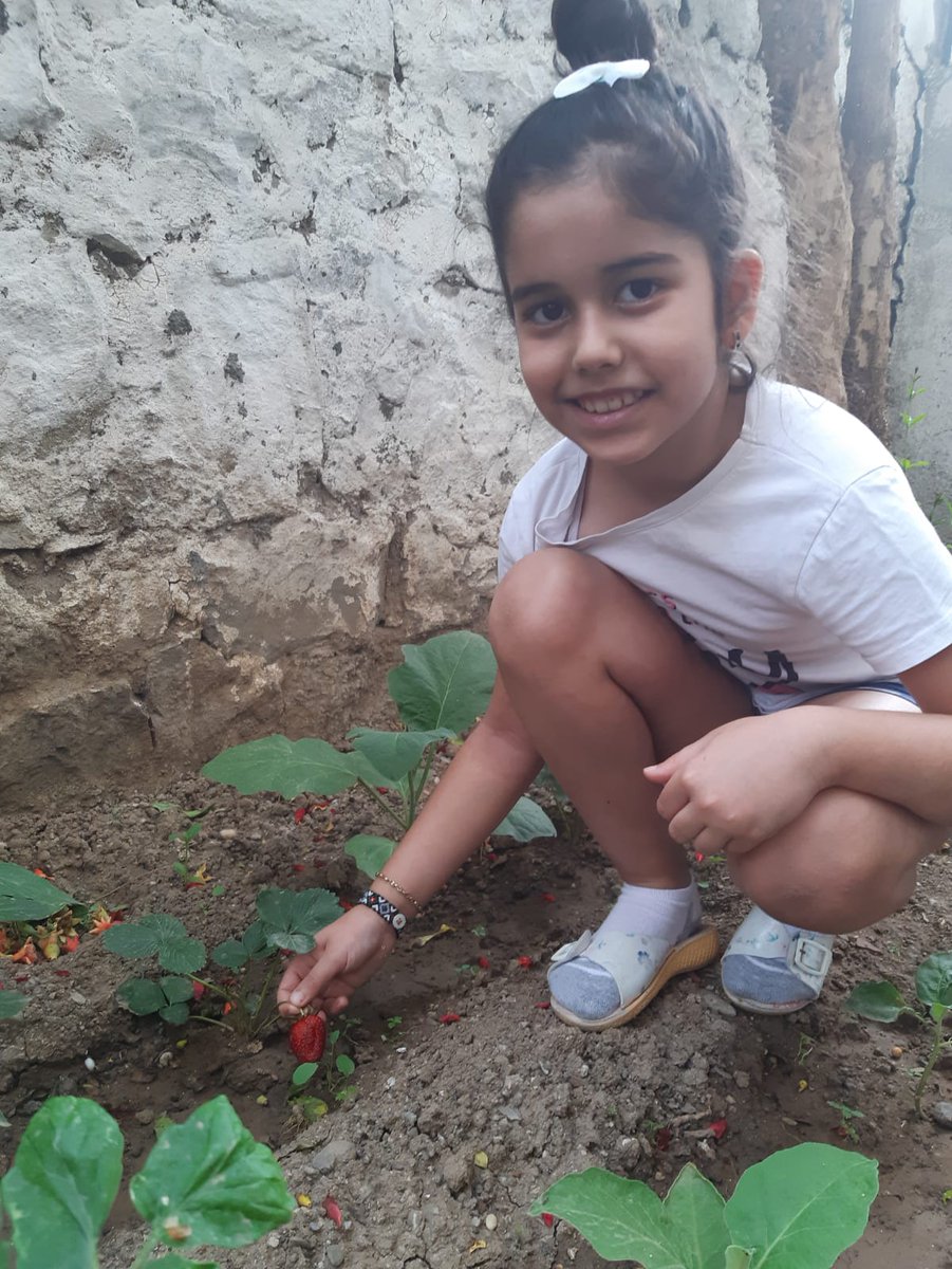 #ciglidebilimvar
<a href="/cigli_mem/">ÇİĞLİ İLÇE MİLLİ EĞİTİM MÜDÜRLÜĞÜ</a>
<a href="/ziyaselcuk/">Ziya Selçuk</a>
<a href="/tcmeb/">Millî Eğitim Bakanlığı</a>
<a href="/izmir_ilmem/">İzmir İl Milli Eğitim Müdürlüğü</a>
<a href="/yahsiomer/">Dr. Ömer YAHŞİ</a>
<a href="/ilkererarslan/">İlker ERARSLAN</a>
<a href="/karabeyoglu35/">Mesut UĞURLU</a>
#80YılKüçükÇiğliİlkokulu
3/C Mahsullerini toplamaya devam ediyor. Simaysu OZAN